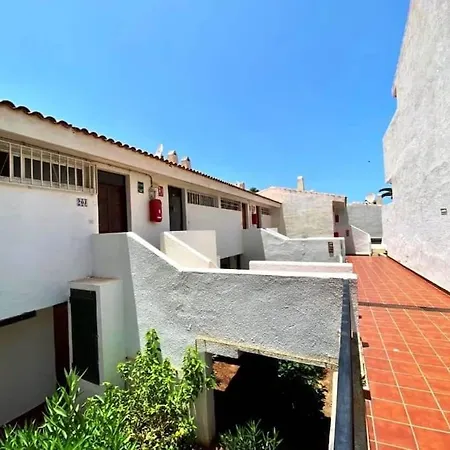 Estudio Paradero Playa de las Americas (Tenerife)